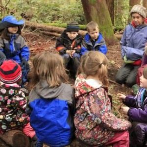 fe7ce6da7b4a0149b404239193111026